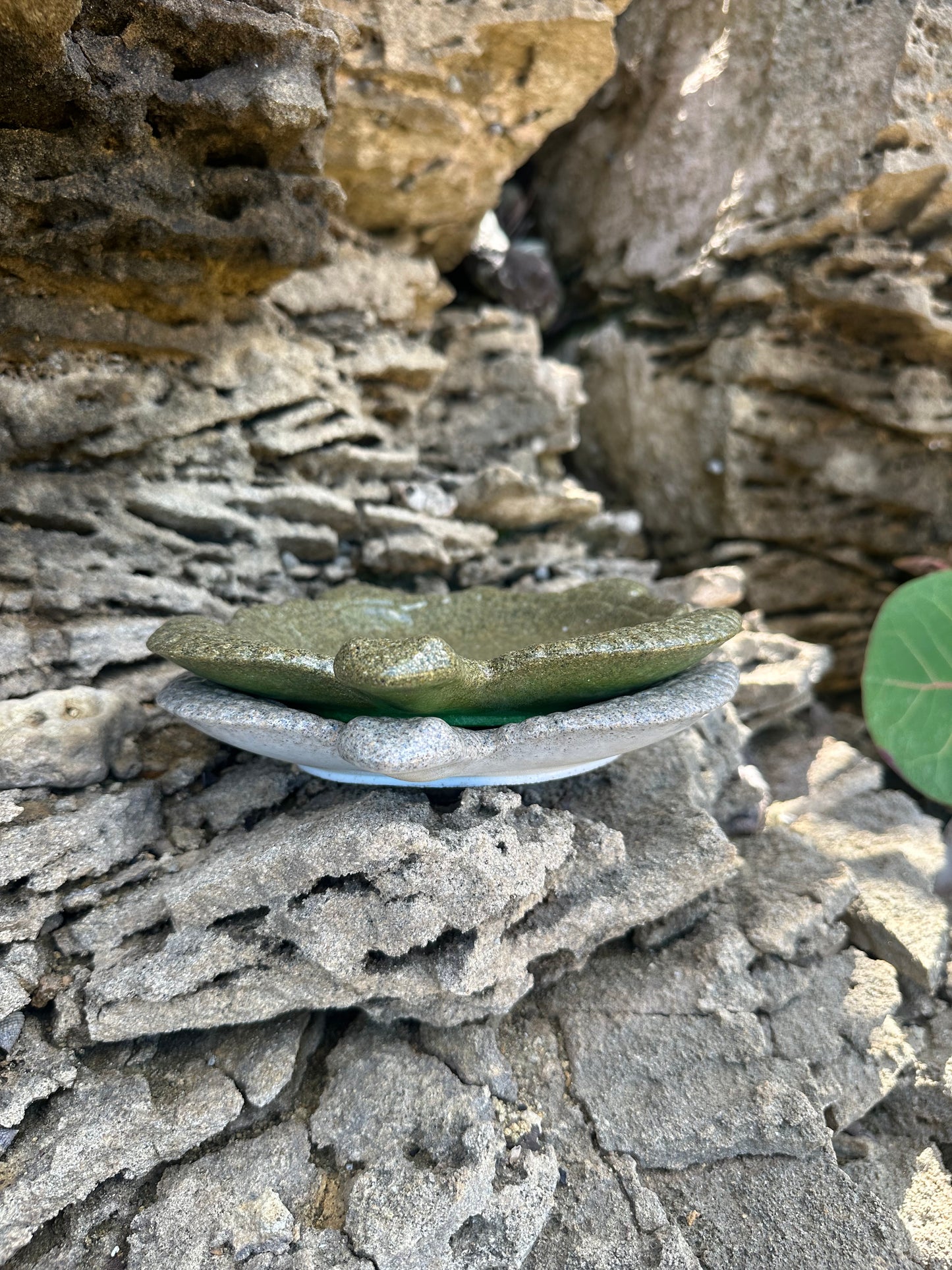 π’ Turtle Tray β Mineral Resin Edition
Handcrafted with food-safe crystal-clear mineral resin. Inspired by the sea.