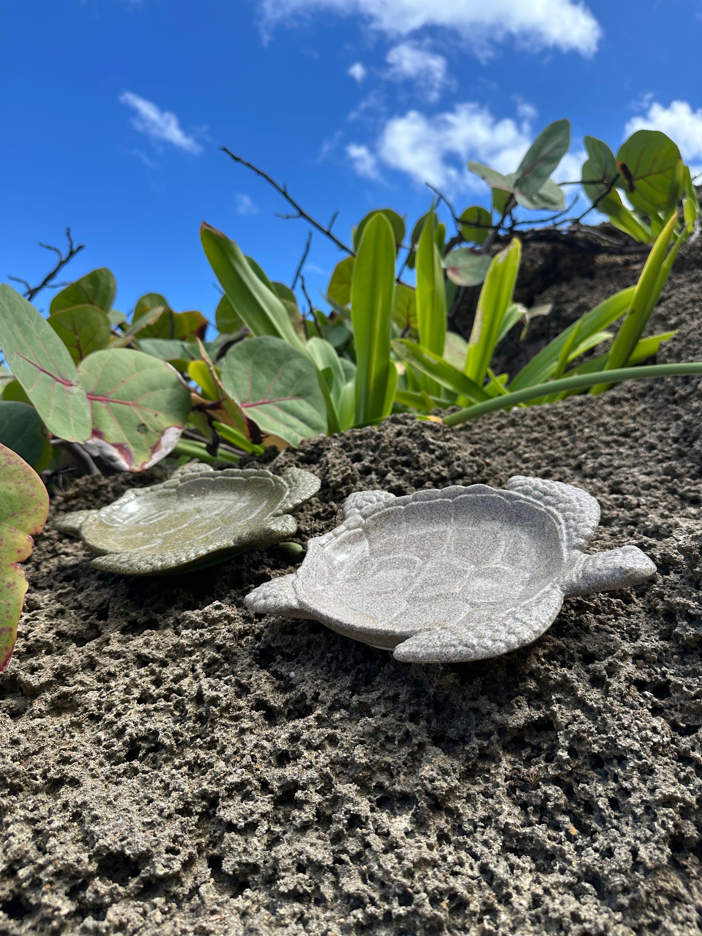 π’ Turtle Tray β Mineral Resin Edition
Handcrafted with food-safe crystal-clear mineral resin. Inspired by the sea.