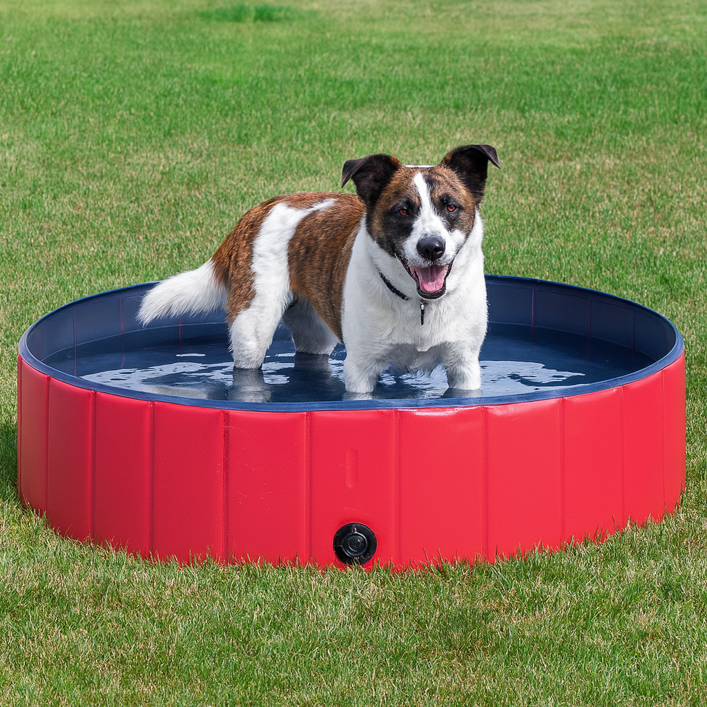 Foldable Pet Swimming Pool – Durable PVC Bathing & Play Pool for Dogs & Cats by Wave & Hang