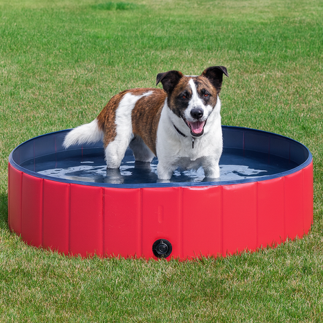 Foldable Pet Swimming Pool – Durable PVC Bathing & Play Pool for Dogs & Cats by Wave & Hang