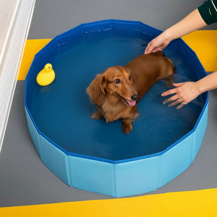 Foldable Pet Swimming Pool – Durable PVC Bathing & Play Pool for Dogs & Cats by Wave & Hang