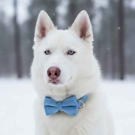 Luxury Blue Velvet Dog Collar & Leash Set – Stylish Comfort for All Breeds by Wave & Hang