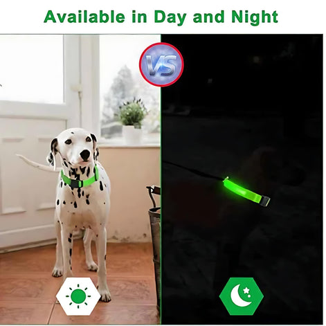 LED Adjustable Dog Collar – Waterproof Blinking Glow Safety Light for Pets by Wave & Hang