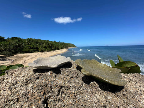 Turtle Tray – Handmade Mineral Resin Coastal Decor | Food-Safe