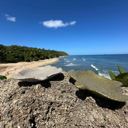 Turtle Tray – Handmade Mineral Resin Coastal Decor | Food-Safe