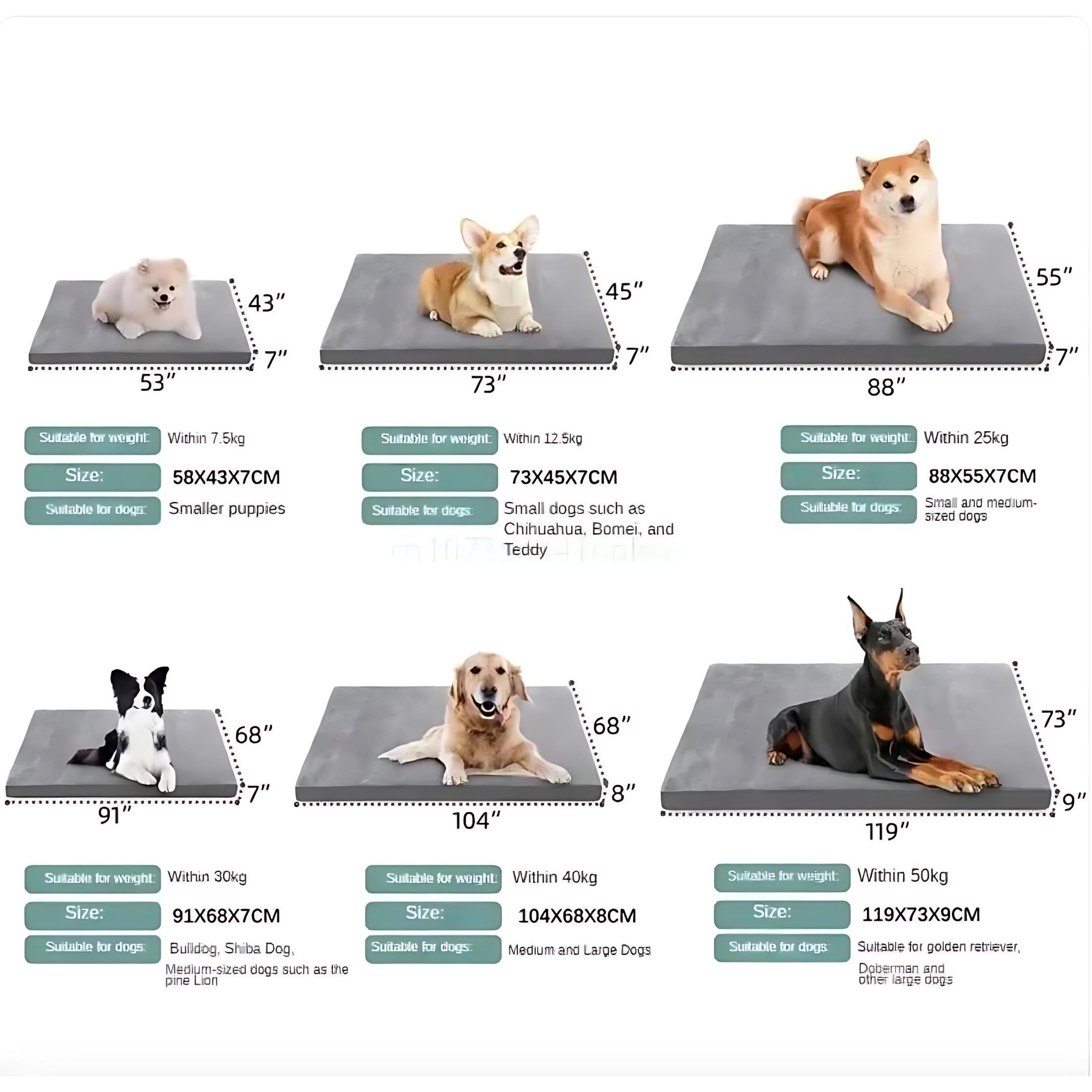 Waterproof Orthopedic Dog Bed With Non Slip Durable Mattress by Wave & Hang