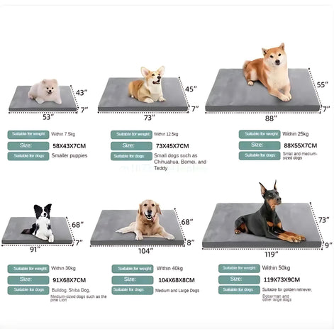 Waterproof Orthopedic Dog Bed With Non Slip Durable Mattress by Wave & Hang