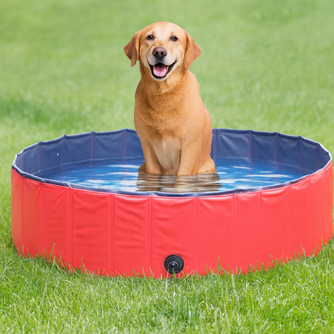 Foldable Pet Swimming Pool – Durable PVC Bathing & Play Pool for Dogs & Cats by Wave & Hang