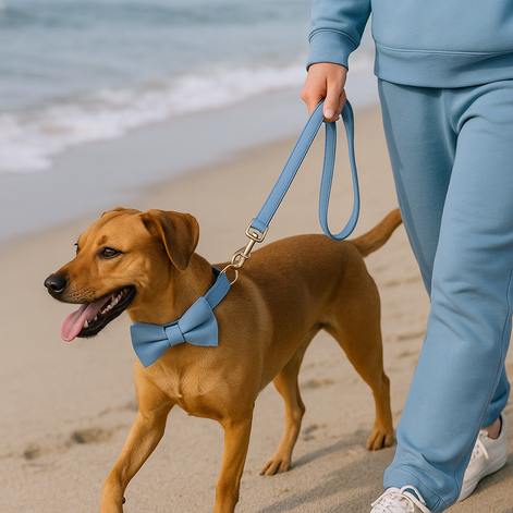 Luxury Blue Velvet Dog Collar & Leash Set – Stylish Comfort for All Breeds by Wave & Hang