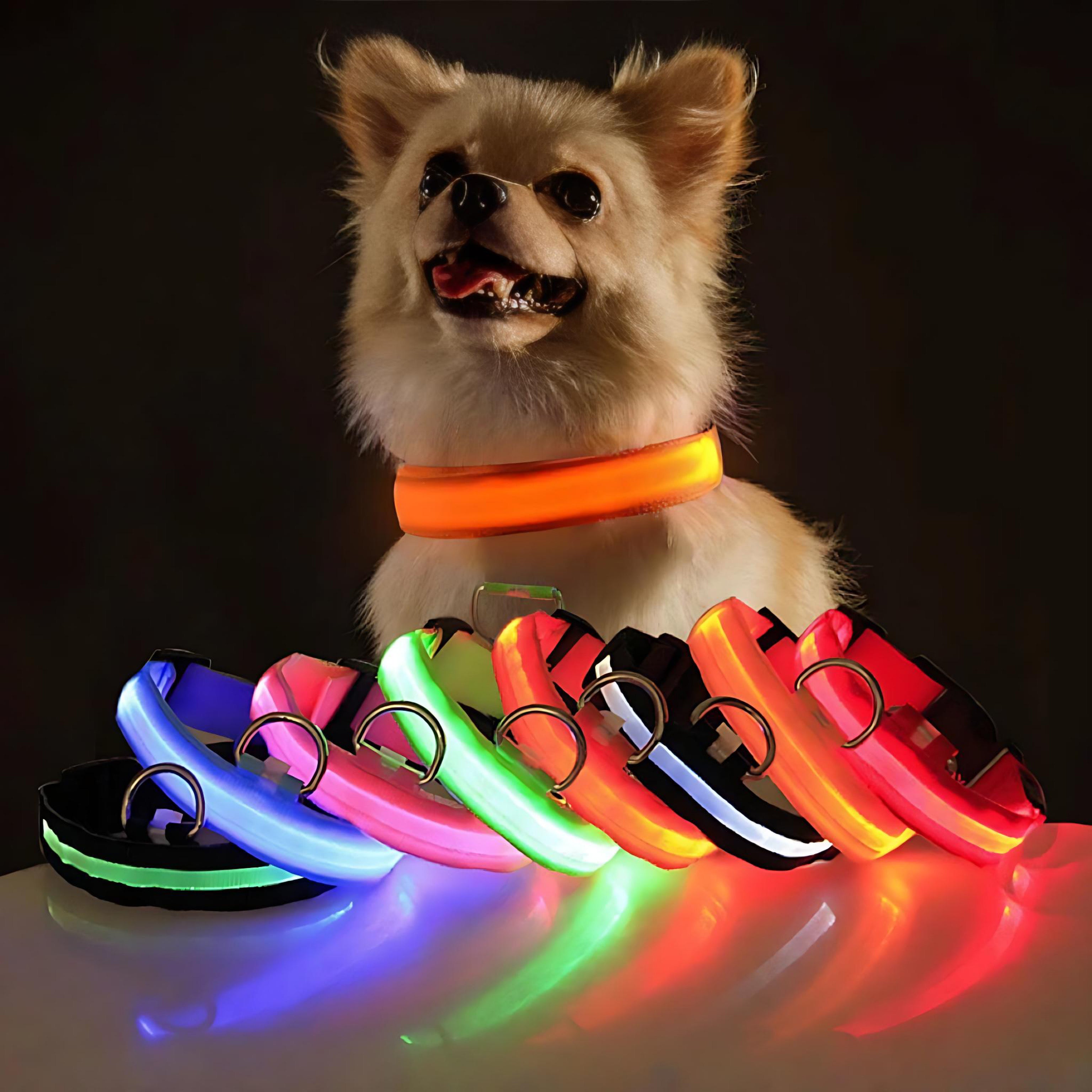 LED Adjustable Dog Collar – Waterproof Blinking Glow Safety Light for Pets by Wave & Hang