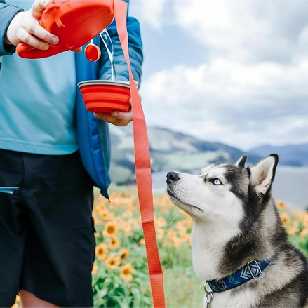 3-in-1 Dog Leash with Water Bottle – Ultimate Hydration Gear by Wave & Hang