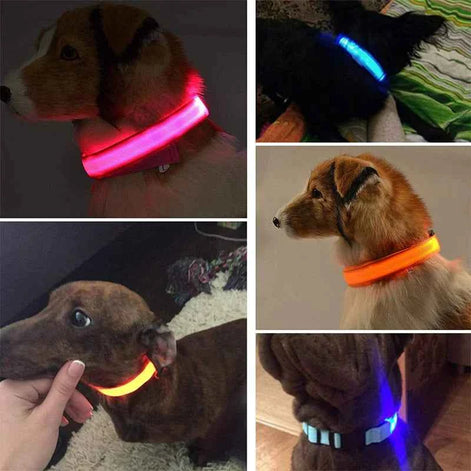 LED Adjustable Dog Collar – Waterproof Blinking Glow Safety Light for Pets