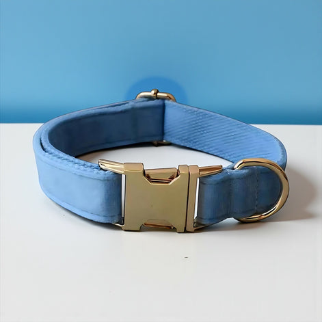 Luxury Blue Velvet Dog Collar & Leash Set – Stylish Comfort for All Breeds by Wave & Hang