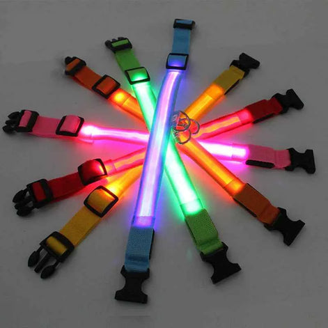 LED Adjustable Dog Collar – Waterproof Blinking Glow Safety Light for Pets