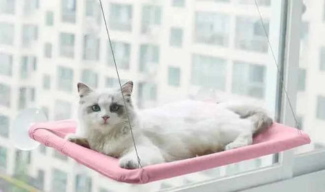 Pet Window Hammock – Cat Hanging Bed with Strong Suction Cups | Cozy Sunbathing Seat for Indoor Cats