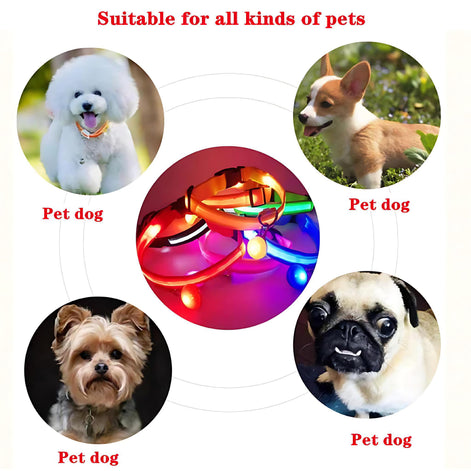 LED Adjustable Dog Collar – Waterproof Blinking Glow Safety Light for Pets by Wave & Hang