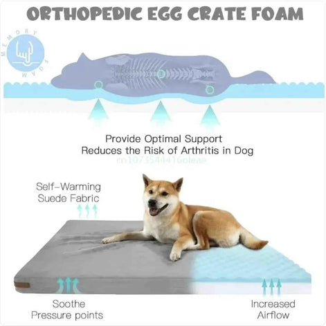 Waterproof Orthopedic Dog Bed | Washable, Non-Slip & Durable Pet Mattress