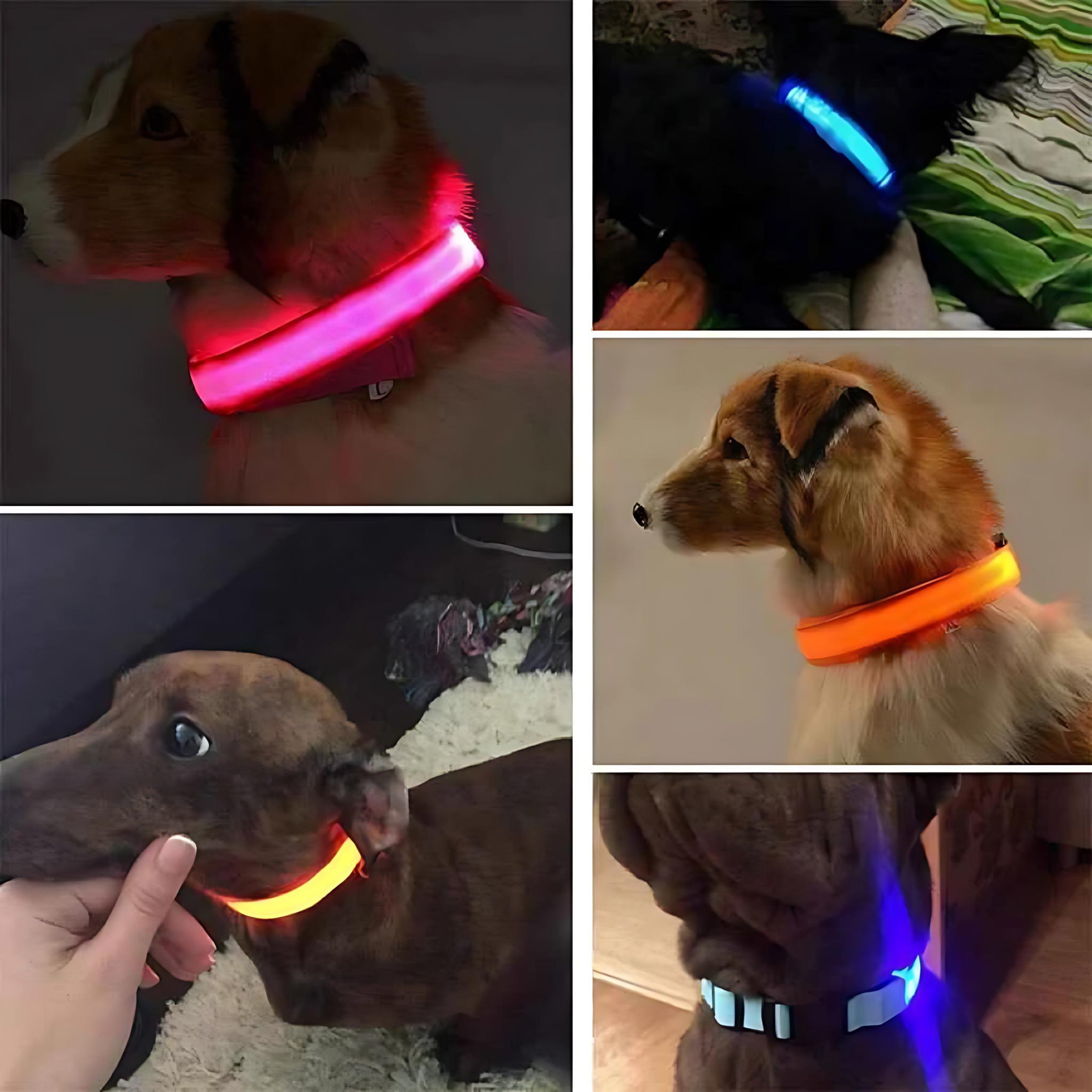 LED Adjustable Dog Collar – Waterproof Blinking Glow Safety Light for Pets by Wave & Hang