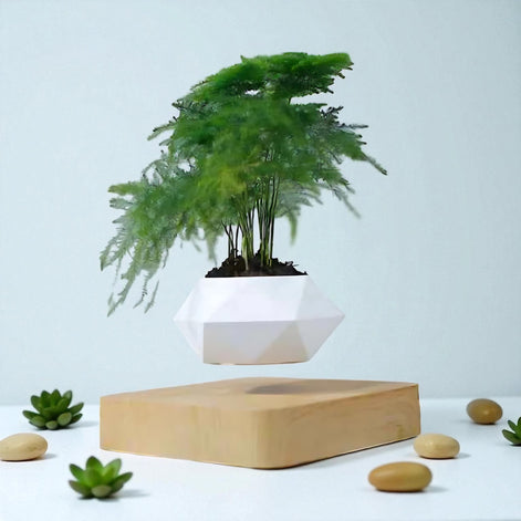 Floating geometric planter with fern plant levitating above a light wooden base