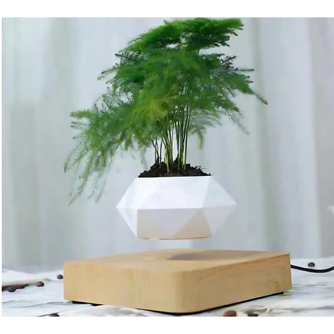 White geometric magnetic planter levitating with fern plant against white curtain background