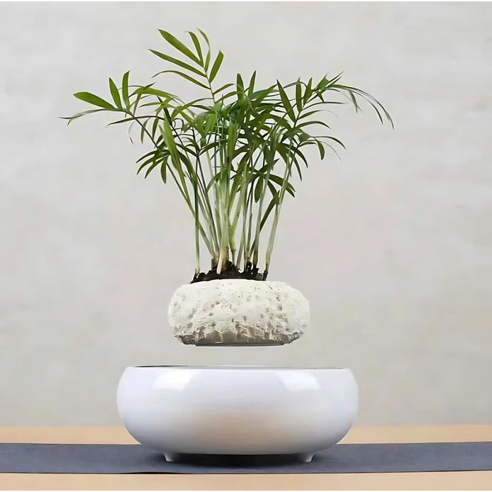 White magnetic levitating planter holding a tall green plant above a round base