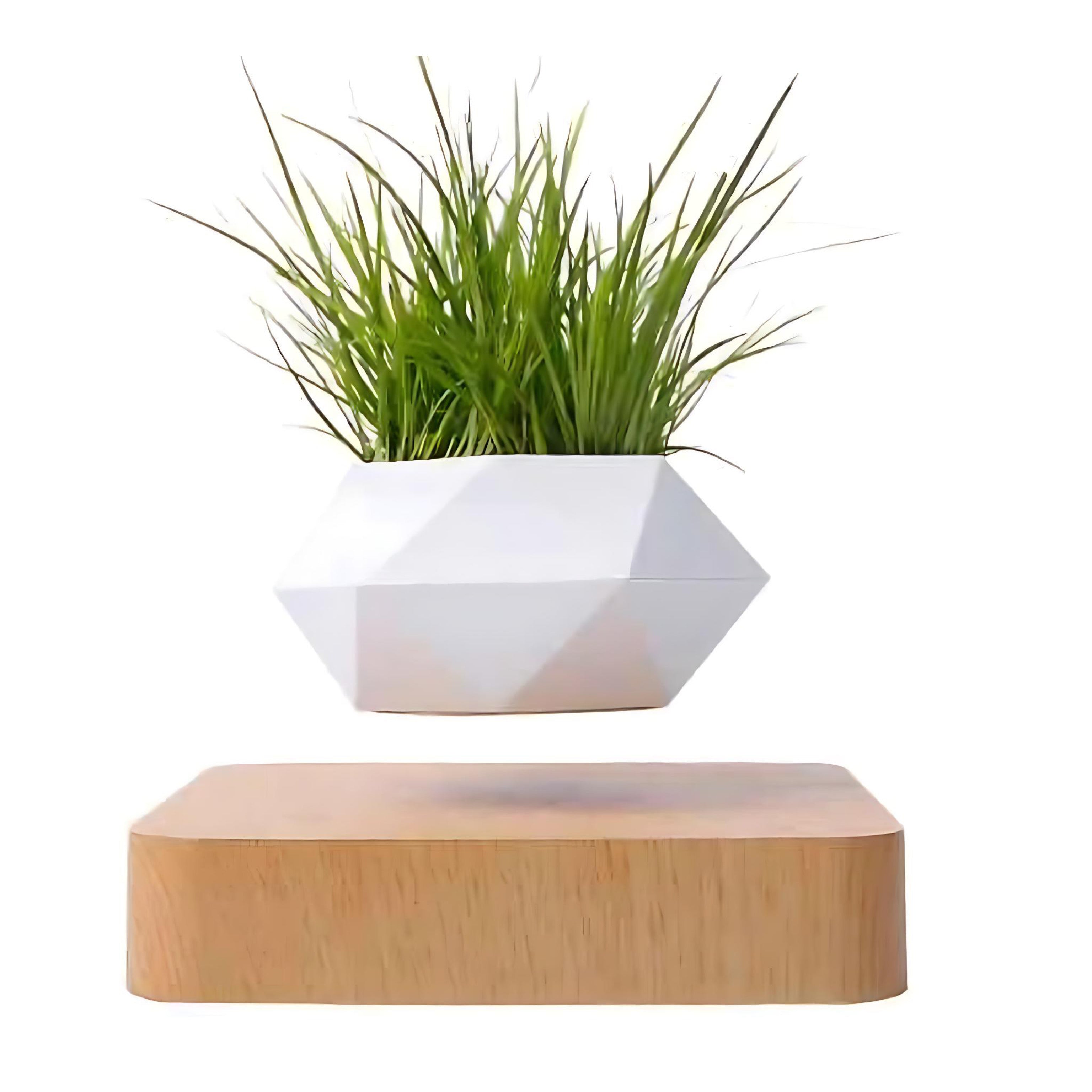 White geometric levitating planter above dark wood base with green grass plant
