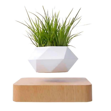 White geometric levitating planter above dark wood base with green grass plant
