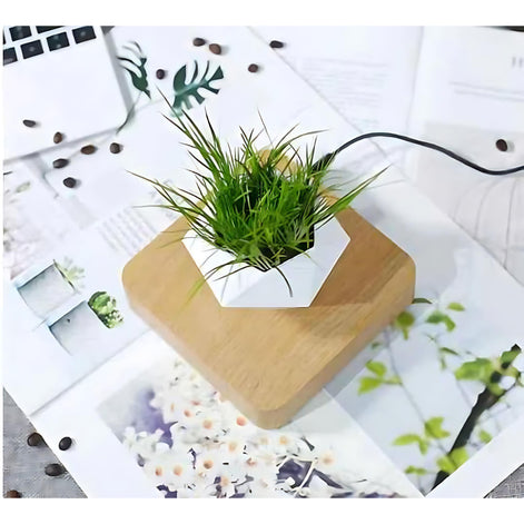 White geometric planter levitating above a wooden square base with small grass plant