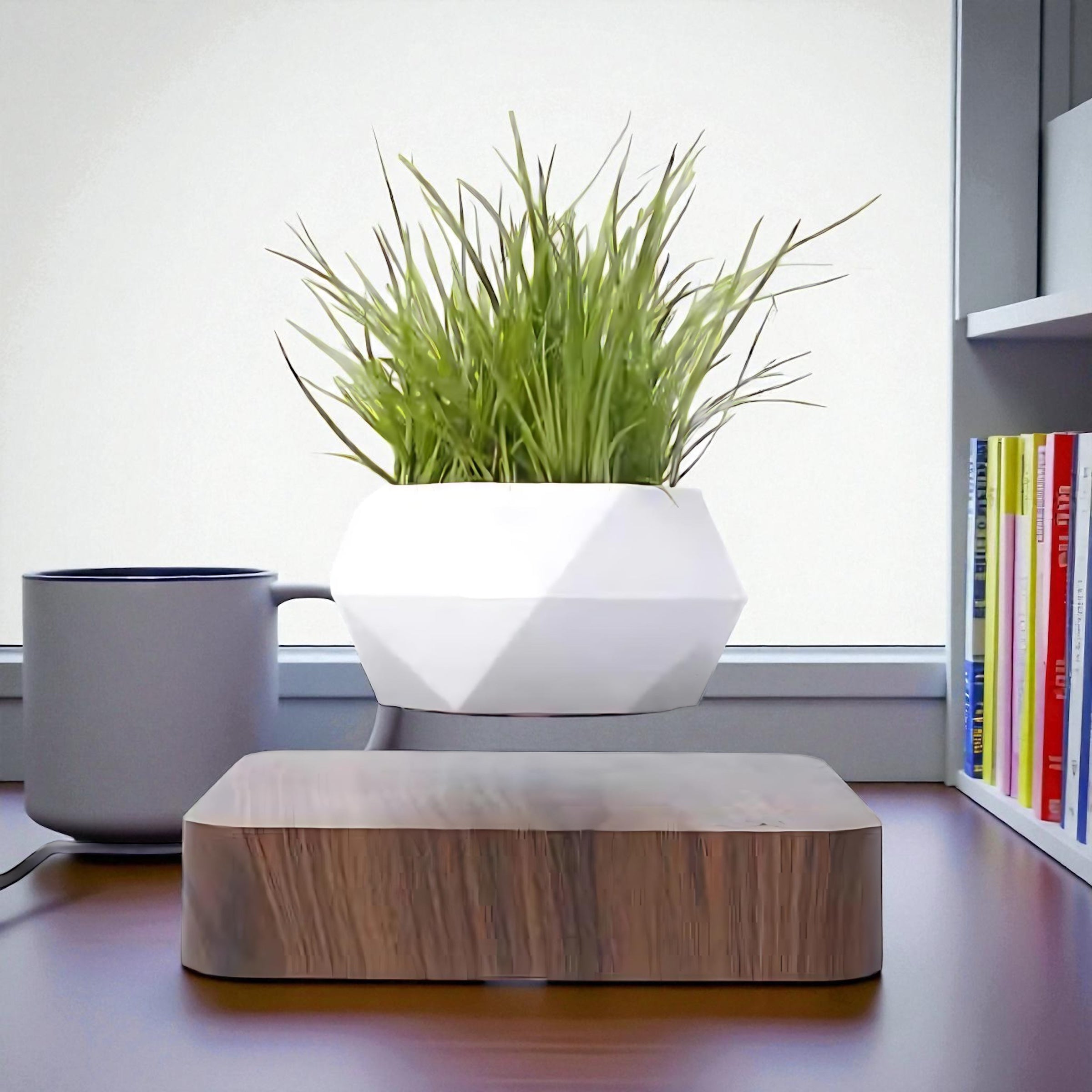 White geometric magnetic planter levitating above a wooden base with grass plant