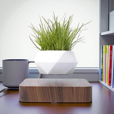 White geometric magnetic planter levitating above a wooden base with grass plant