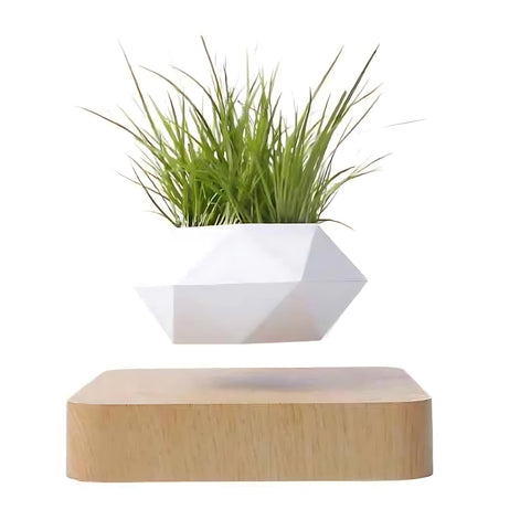 White geometric magnetic planter levitating with bright green grass plant