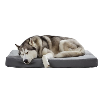Waterproof Orthopedic Dog Bed With Non Slip Durable Mattress by Wave & Hang