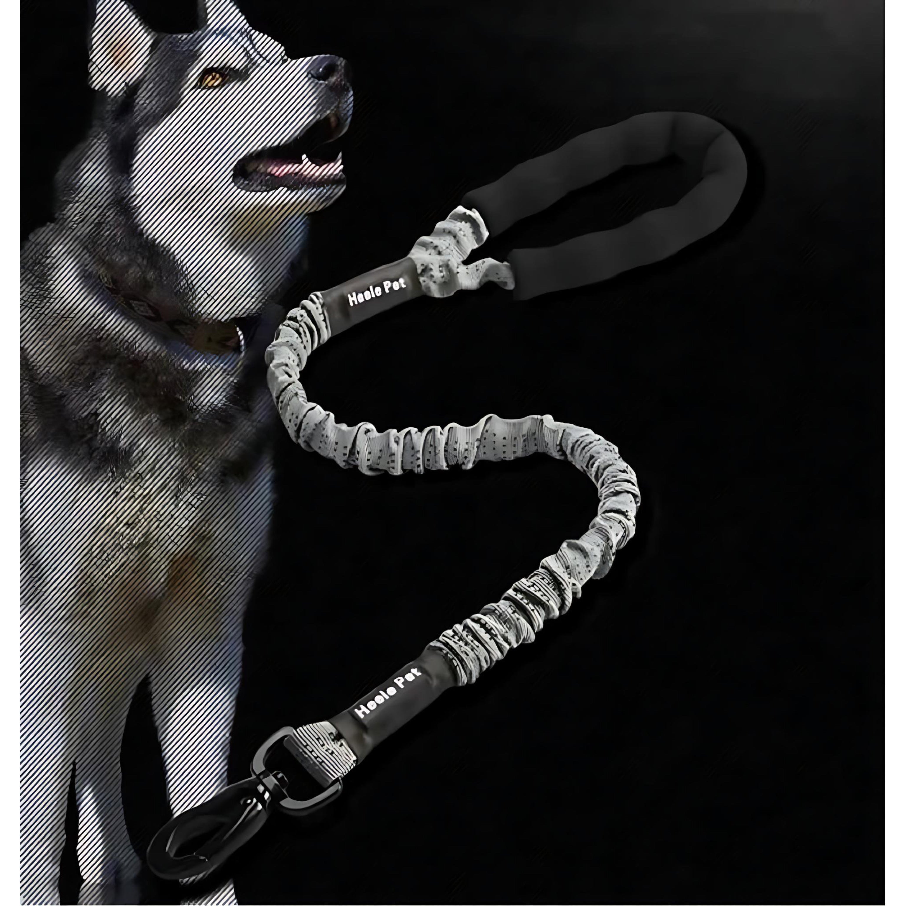 Elastic Dog Leash – Shock-Absorbing for Large Dogs | Adventure Ready! by Wave & Hang