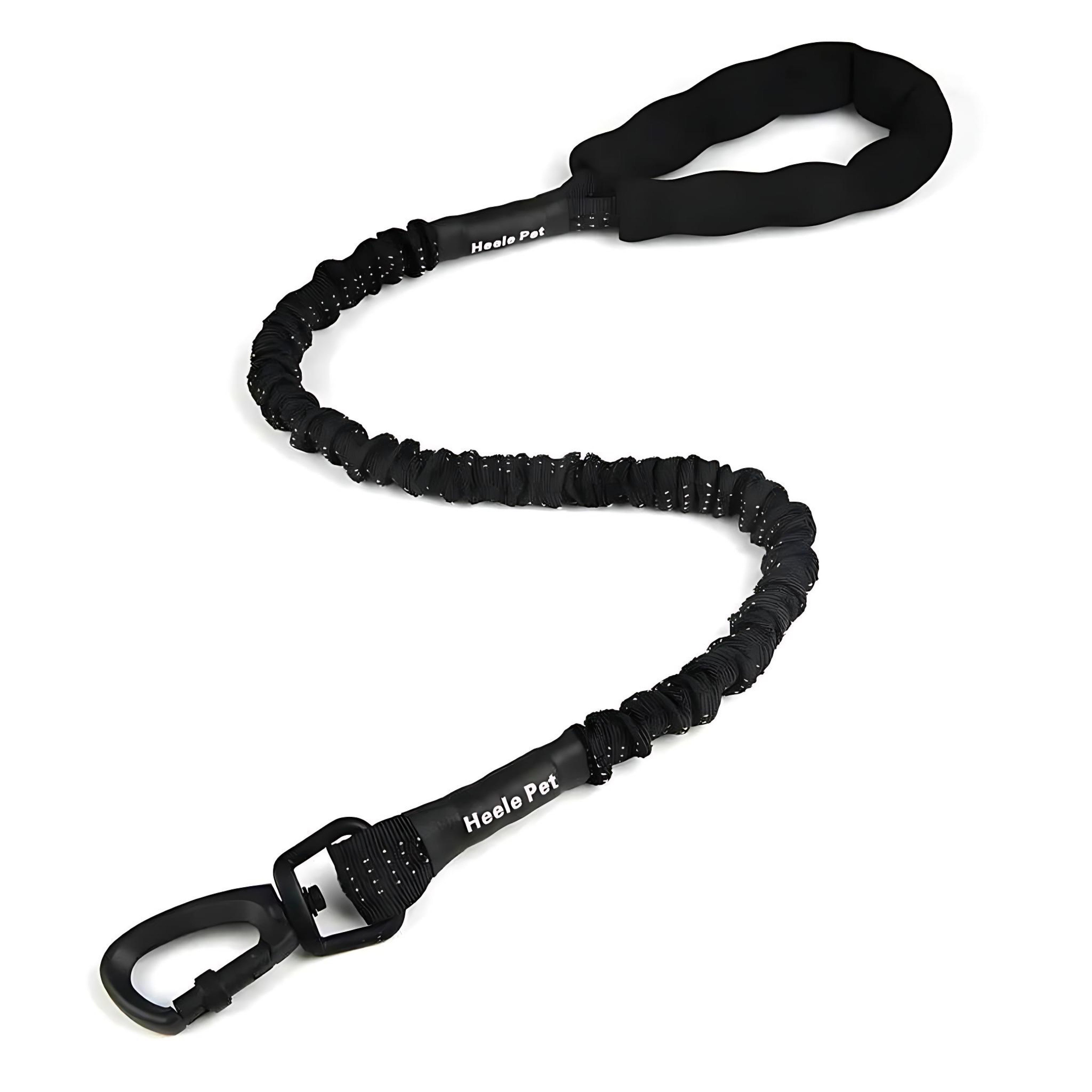 Elastic Dog Leash – Shock-Absorbing for Large Dogs | Adventure Ready! by Wave & Hang