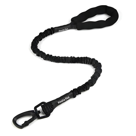 Elastic Dog Leash – Shock-Absorbing for Large Dogs | Adventure Ready! by Wave & Hang