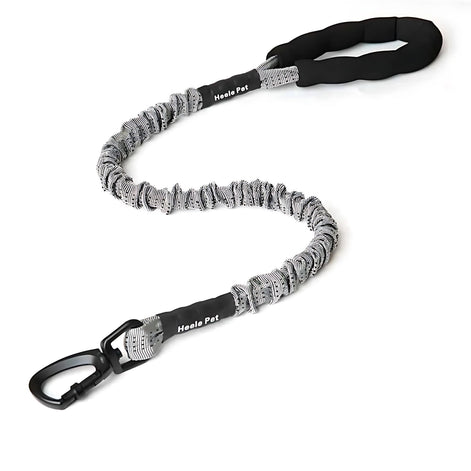 Elastic Dog Leash – Shock-Absorbing for Large Dogs | Adventure Ready! by Wave & Hang