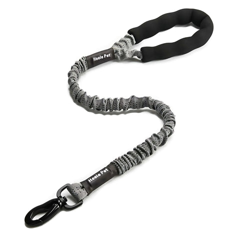 Elastic Dog Leash – Shock-Absorbing for Large Dogs | Adventure Ready! by Wave & Hang
