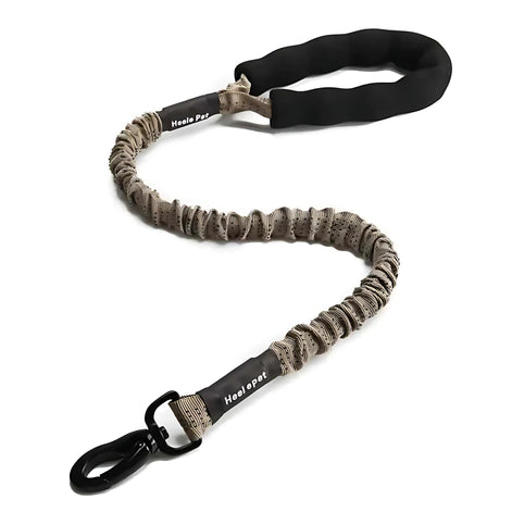 Elastic Dog Leash – Shock-Absorbing for Large Dogs | Adventure Ready! by Wave & Hang