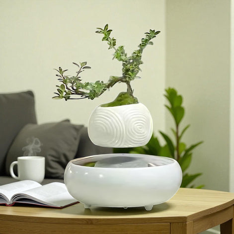 Floating bonsai tree in white magnetic planter placed on a white round base