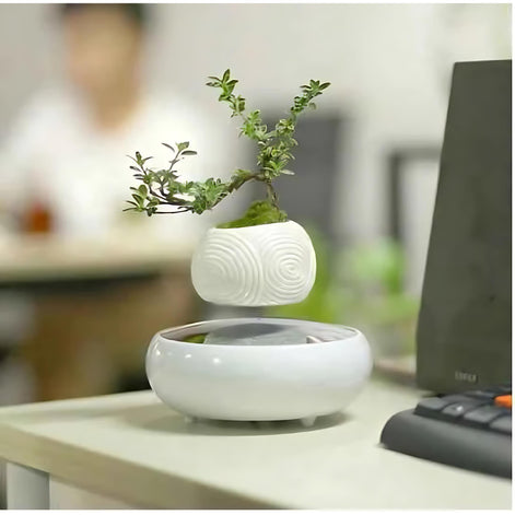 White levitating planter with small plant sitting on office desk
