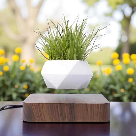 White floating geometric planter with green plant placed outdoors on a wooden base
