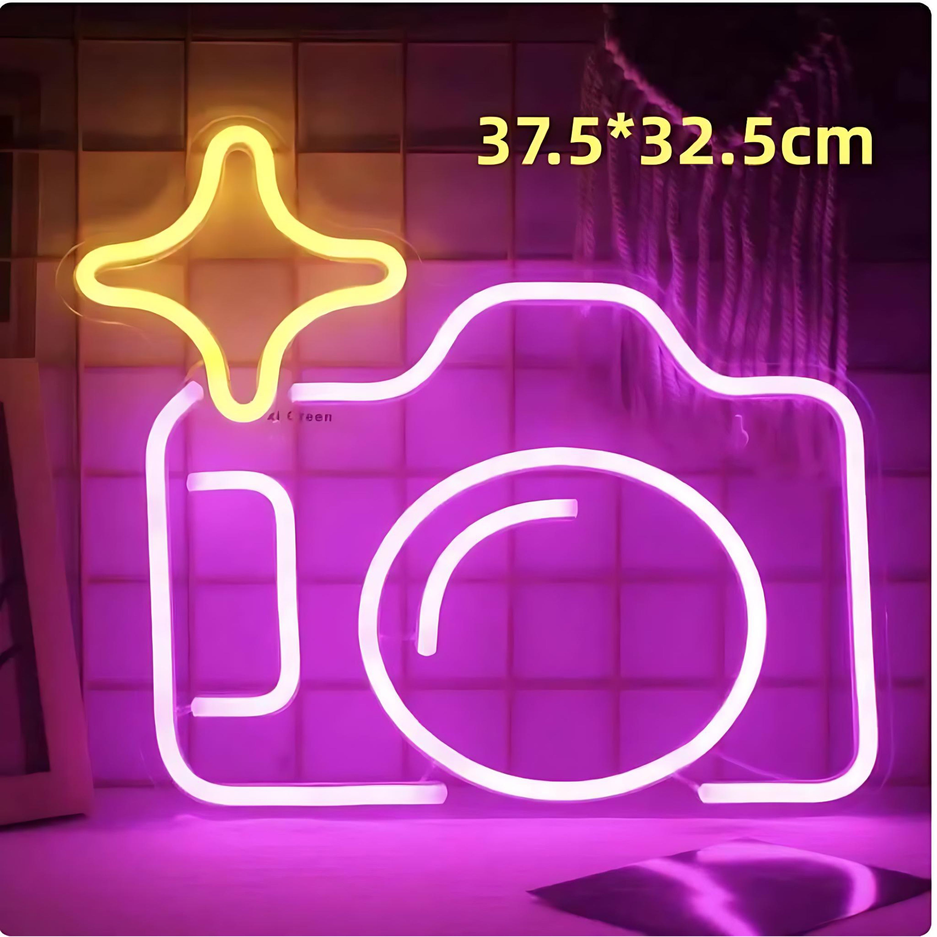 Pink neon LED light shaped like a camera outline