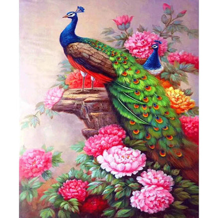 DIY Digital Peacock Oil Painting | Elegant Wall Art for Living Room Decor