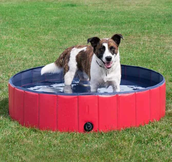 Foldable Pet Swimming Pool – Durable PVC Bathing & Play Pool for Dogs & Cats