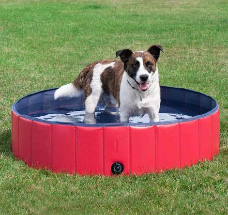 Foldable Pet Swimming Pool – Durable PVC Bathing & Play Pool for Dogs & Cats