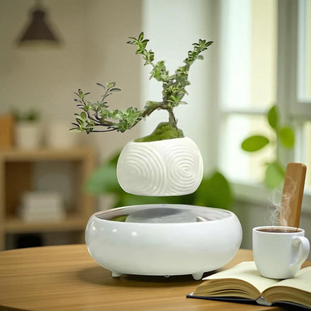 Round white floating planter with small bonsai-style plant above magnetic base