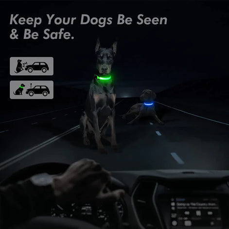 LED Adjustable Dog Collar – Waterproof Blinking Glow Safety Light for Pets