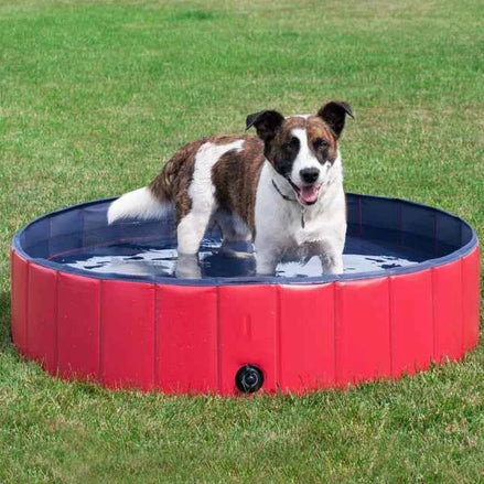Foldable Pet Swimming Pool – Durable PVC Bathing & Play Pool for Dogs & Cats