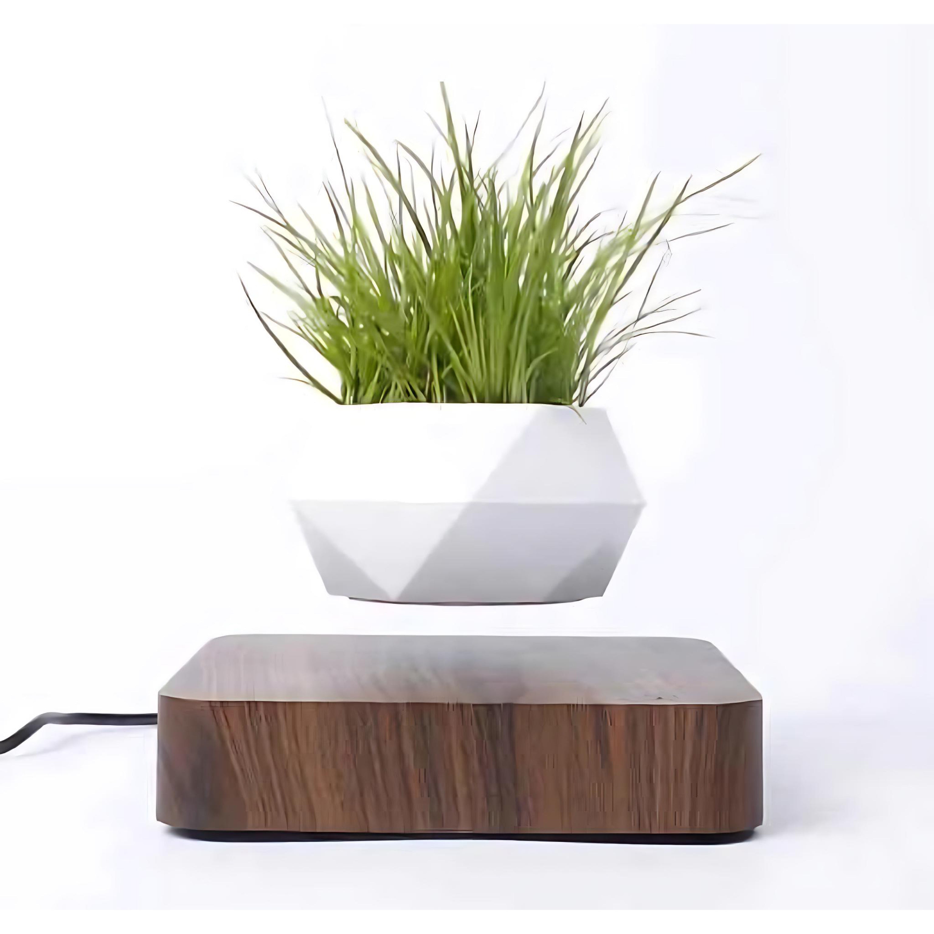 White geometric planter levitating above a wood base holding tall grass