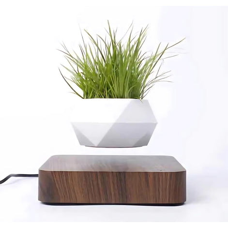 White geometric planter levitating above a wood base holding tall grass